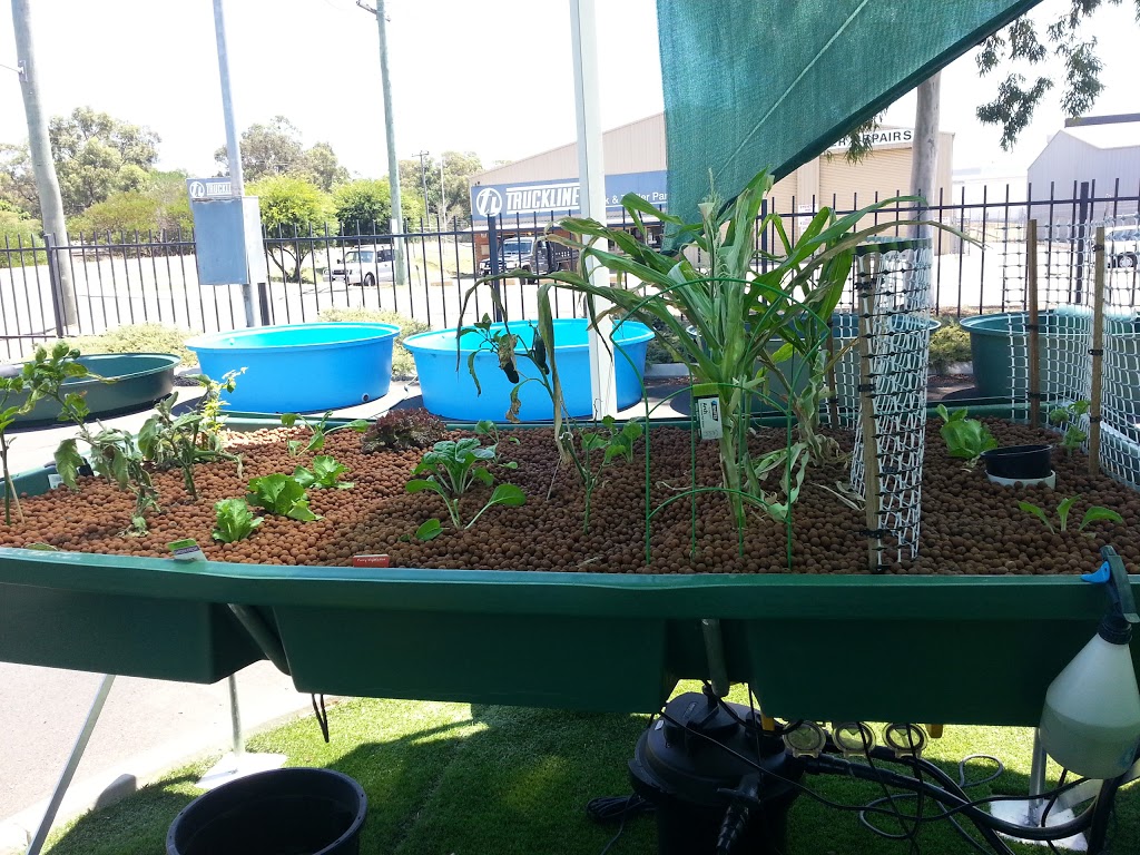 The Aquaponics Place | pet store | 236 S Western Hwy, Picton WA 6229, Australia | 0897262092 OR +61 8 9726 2092