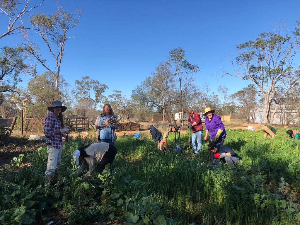 The Hungry Spirit | 574 Wooloroo Rd, Lightning Ridge NSW 2834, Australia | Phone: (02) 5866 1180