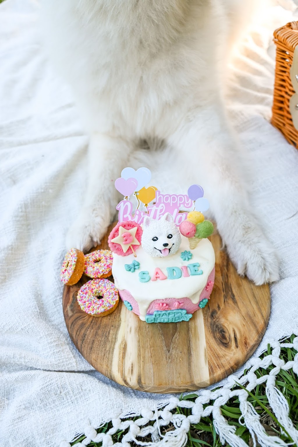 I Pet Bakery | 36 Ascent St, Rochedale QLD 4123, Australia | Phone: 0425 002 864