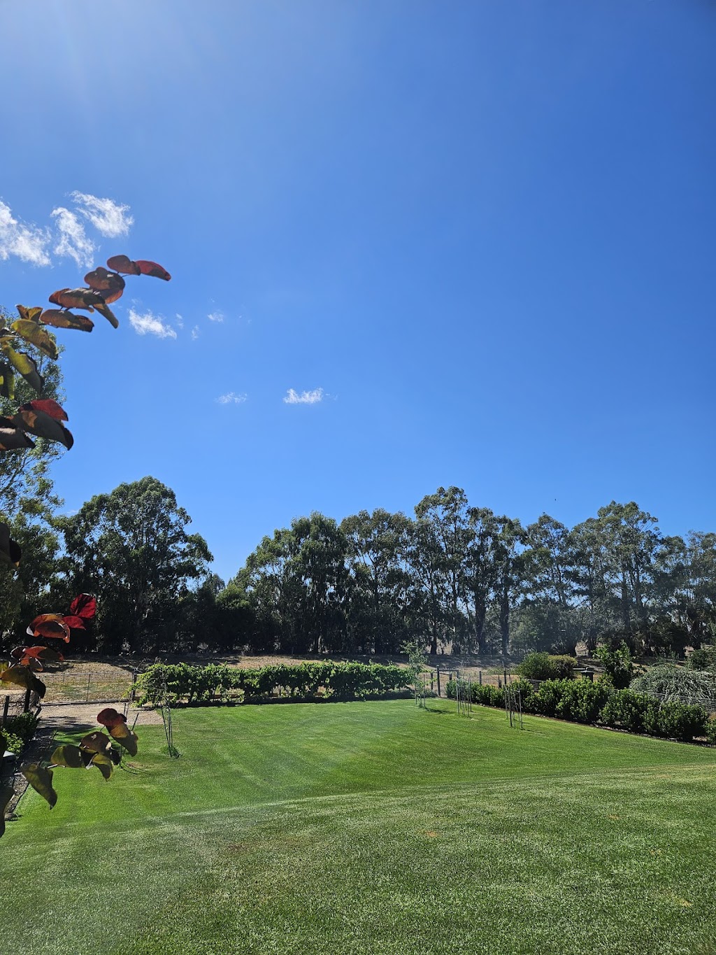 Apex Property and Garden Maintenance | 28 Manzanillo Ave, Moama NSW 2731, Australia | Phone: 0439 449 969