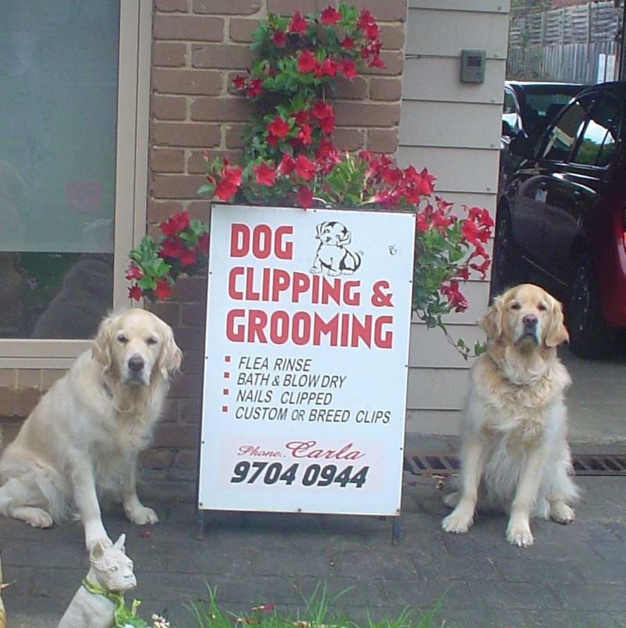 Carlas Dog Clipping & Grooming Narre Warren | 3 Darling Way, Narre Warren VIC 3805, Australia | Phone: (03) 9704 0944