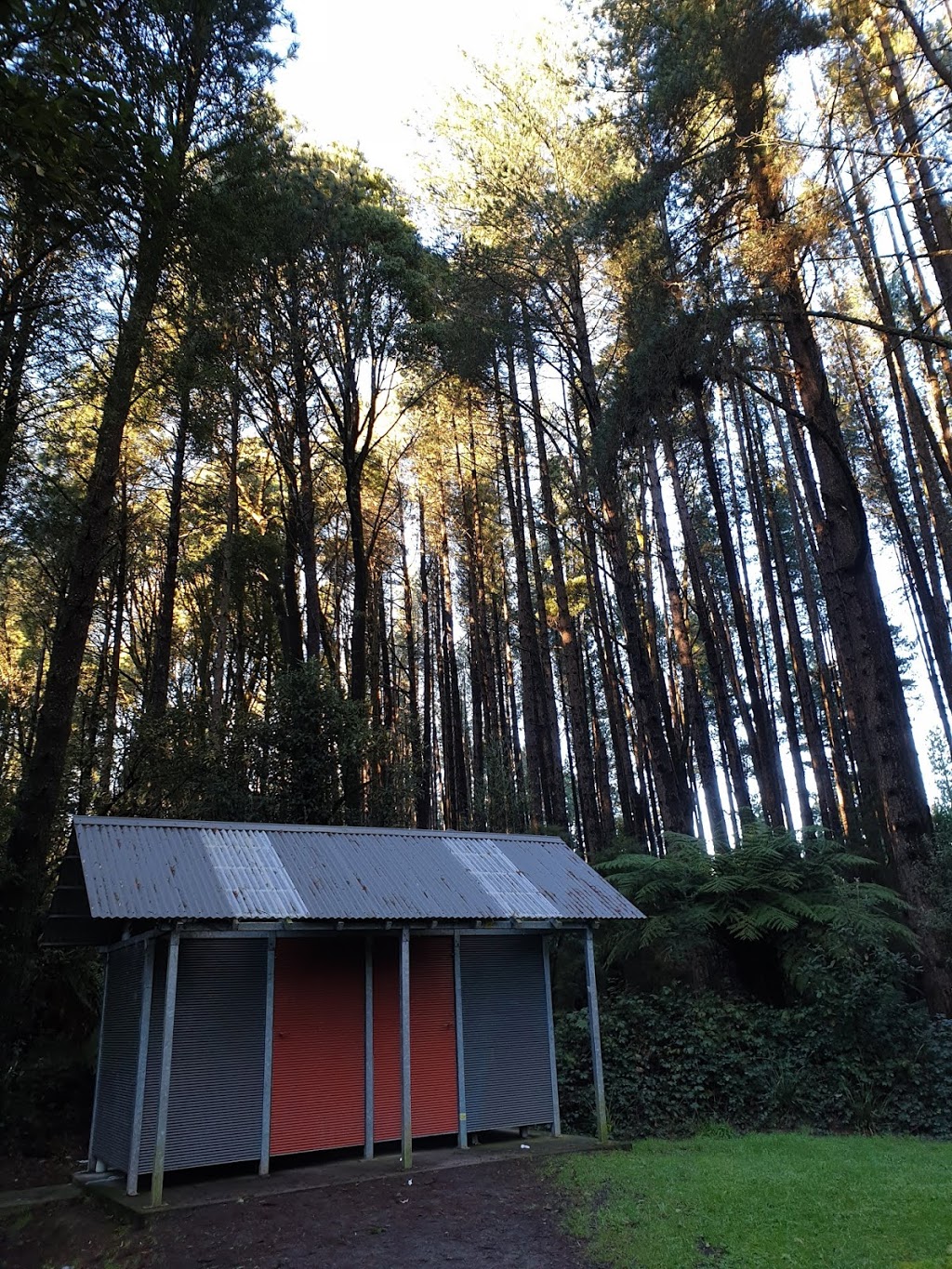 Beauchamp falls campsite | Beauchamp Falls Walking Track, Beech Forest VIC 3237, Australia