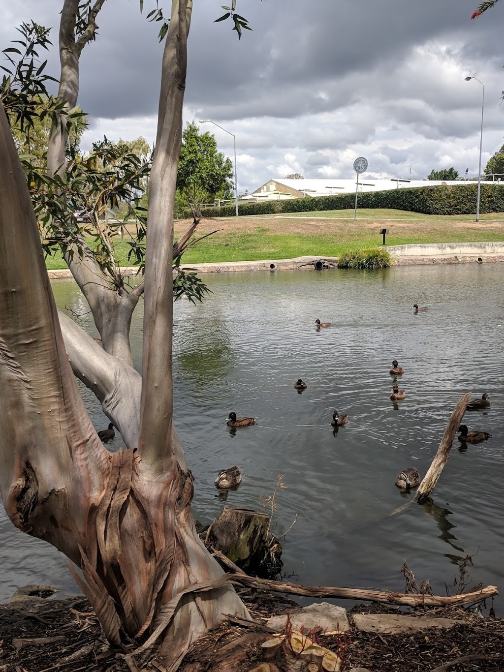 Apex Park - Caboolture | park | Centenary Lakes, Morayfield Rd, Caboolture QLD 4510, Australia