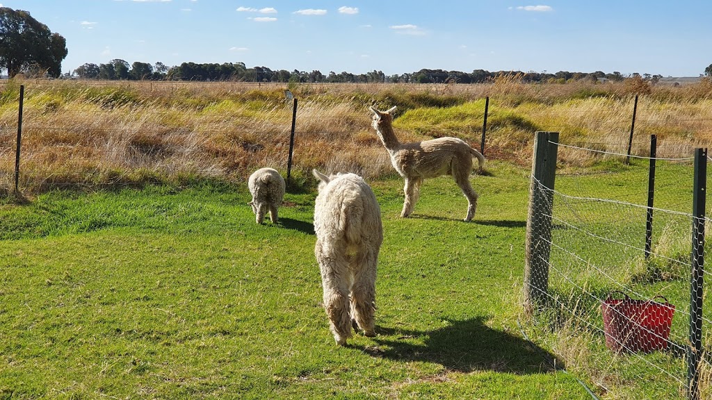 Finley Golf Club | Tongs St, Finley NSW 2713, Australia | Phone: (03) 5883 1360