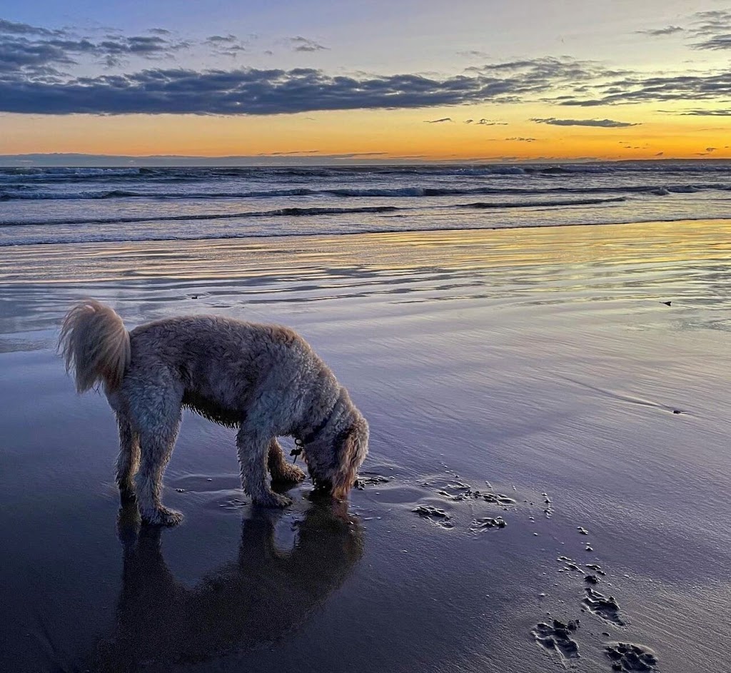 La Sirena, Venus Bay | 6 Atherton Dr, Venus Bay VIC 3956, Australia | Phone: 0410 482 372