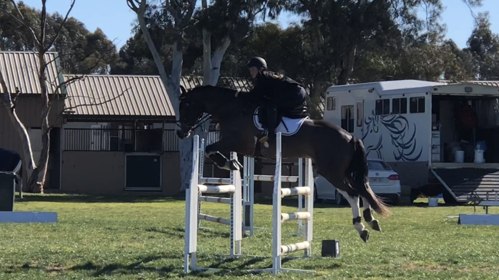 Werribee Park National Equestrian Centre | 170 K Rd, Werribee South VIC 3030, Australia | Phone: (03) 9741 7672