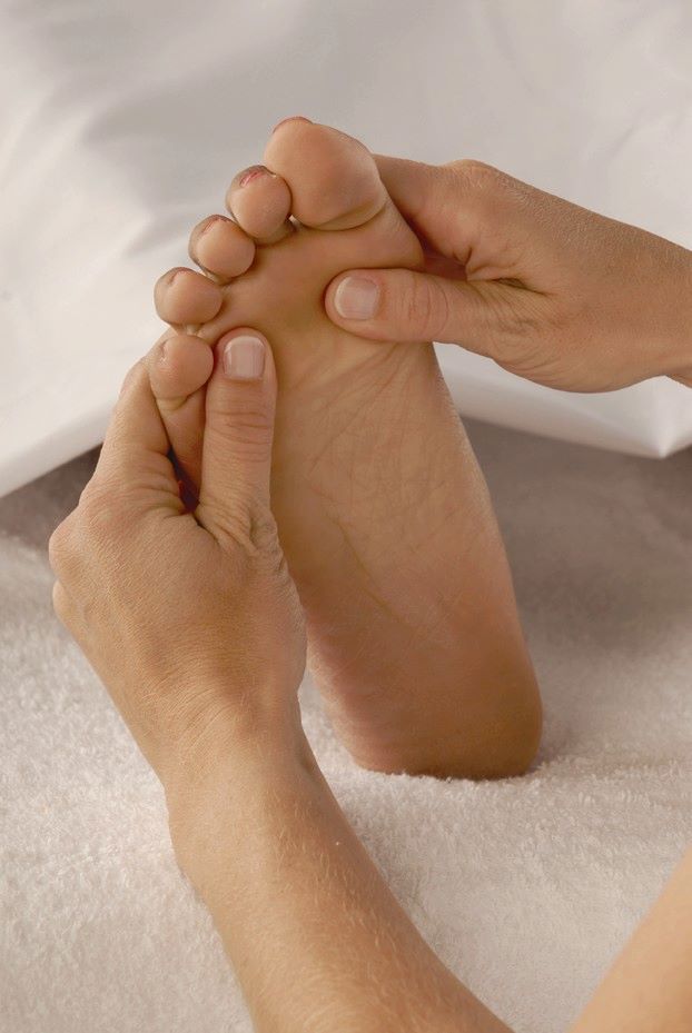 Tracey Holland Reflexology | 10 Aubrey St, Camp Hill QLD 4152, Australia | Phone: 0438 113 512