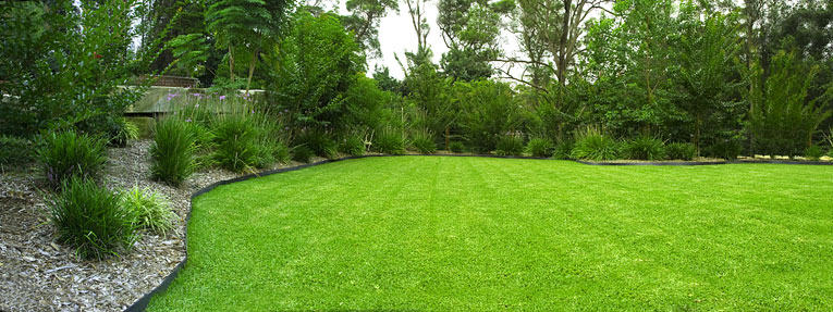 5 Star Yard and Garden | general contractor | 12 Acacia Ave, Gwynneville NSW 2500, Australia | 0450100960 OR +61 450 100 960