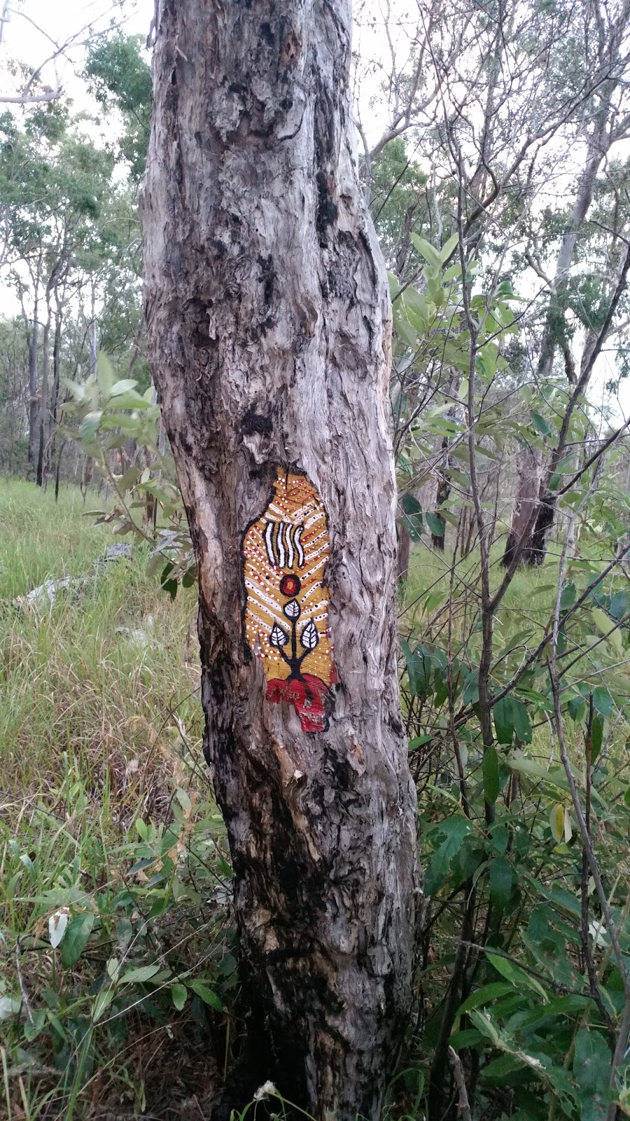 Deagon Wetlands | park | 83 Barfoot St, Bracken Ridge QLD 4017, Australia | 0734038888 OR +61 7 3403 8888