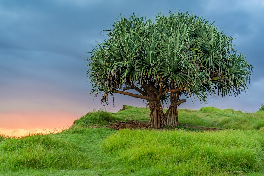 Digital Marketing Lifeline | 44 Habitat Way, Lennox Head NSW 2478, Australia | Phone: 0483 921 316 Digital Marketing Lifeline | 44 Habitat Way, Lennox Head NSW 2478, Australia | Phone: 0483 921 316