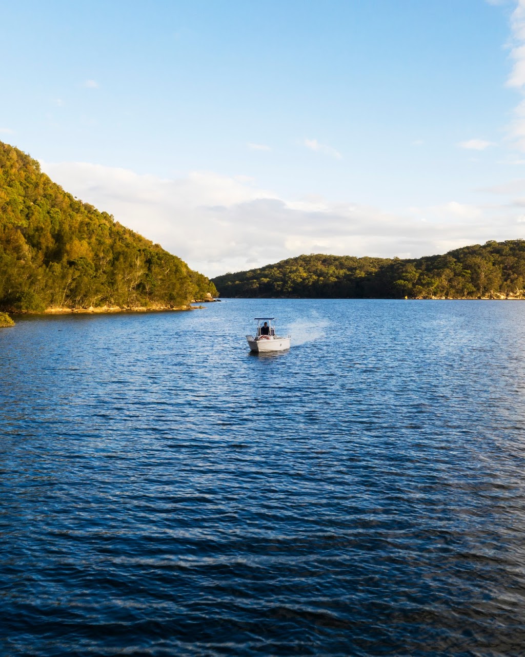 Sydney Harbour Safaris Boat Tours | 8 Lowing Cl, Forestville NSW 2087, Australia | Phone: 0490 701 016