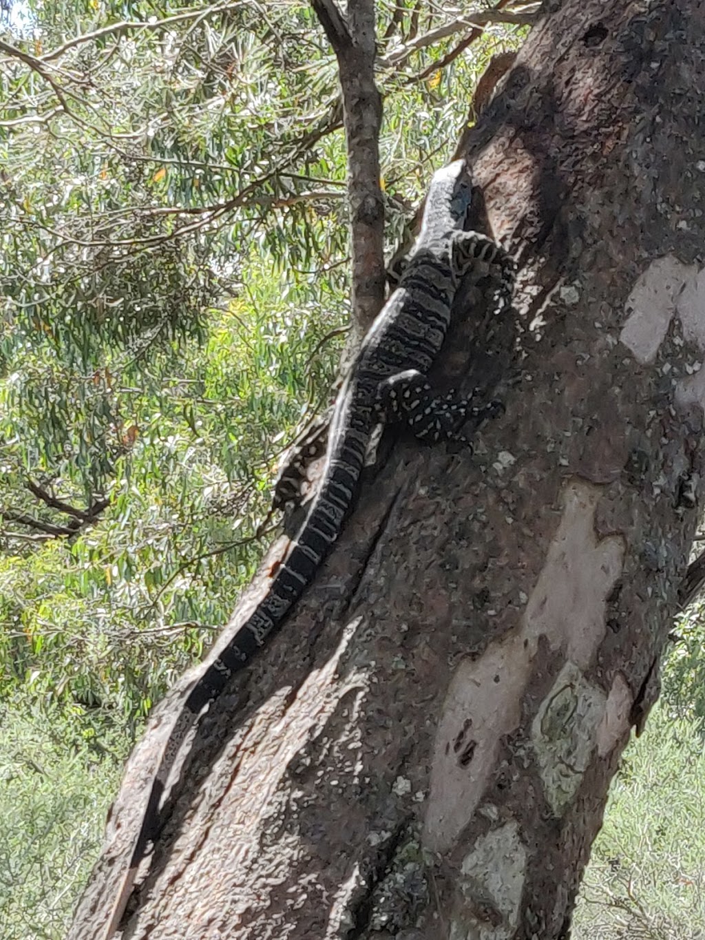 Yurunga Drive Lookout | park | North Nowra NSW 2541, Australia