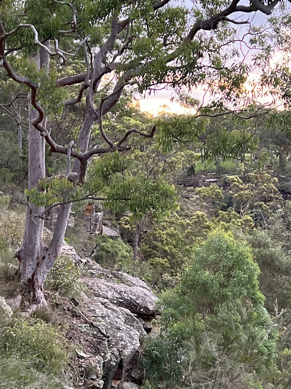 Eagle’s Gorge Waterfall | 195 Theresa View Rd, Theresa Park NSW 2570, Australia | Phone: 1300 011 300