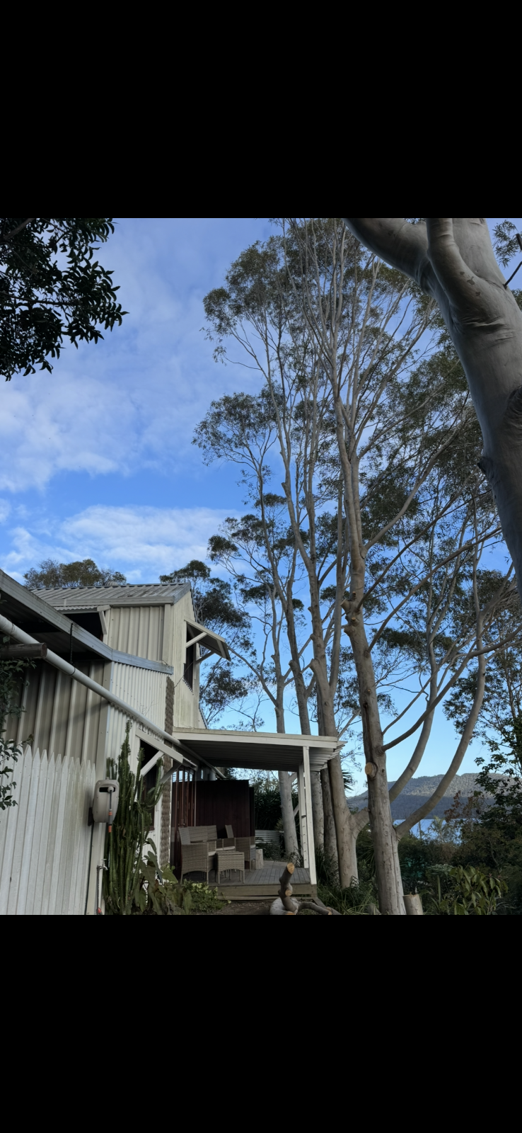 Rudy’s trees services | 18 Mill St, Krambach NSW 2429, Australia | Phone: 0403 641 599