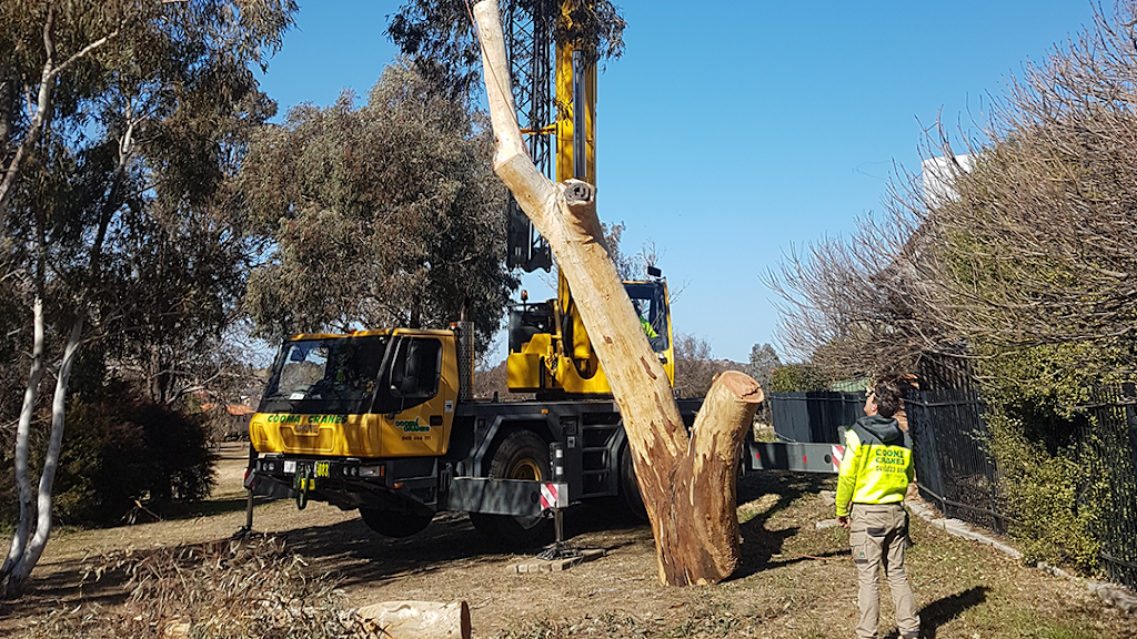 Climb High Tree Services |  | 880 Federal Hwy, Watson ACT 2602, Australia | 0402089736 OR +61 402 089 736