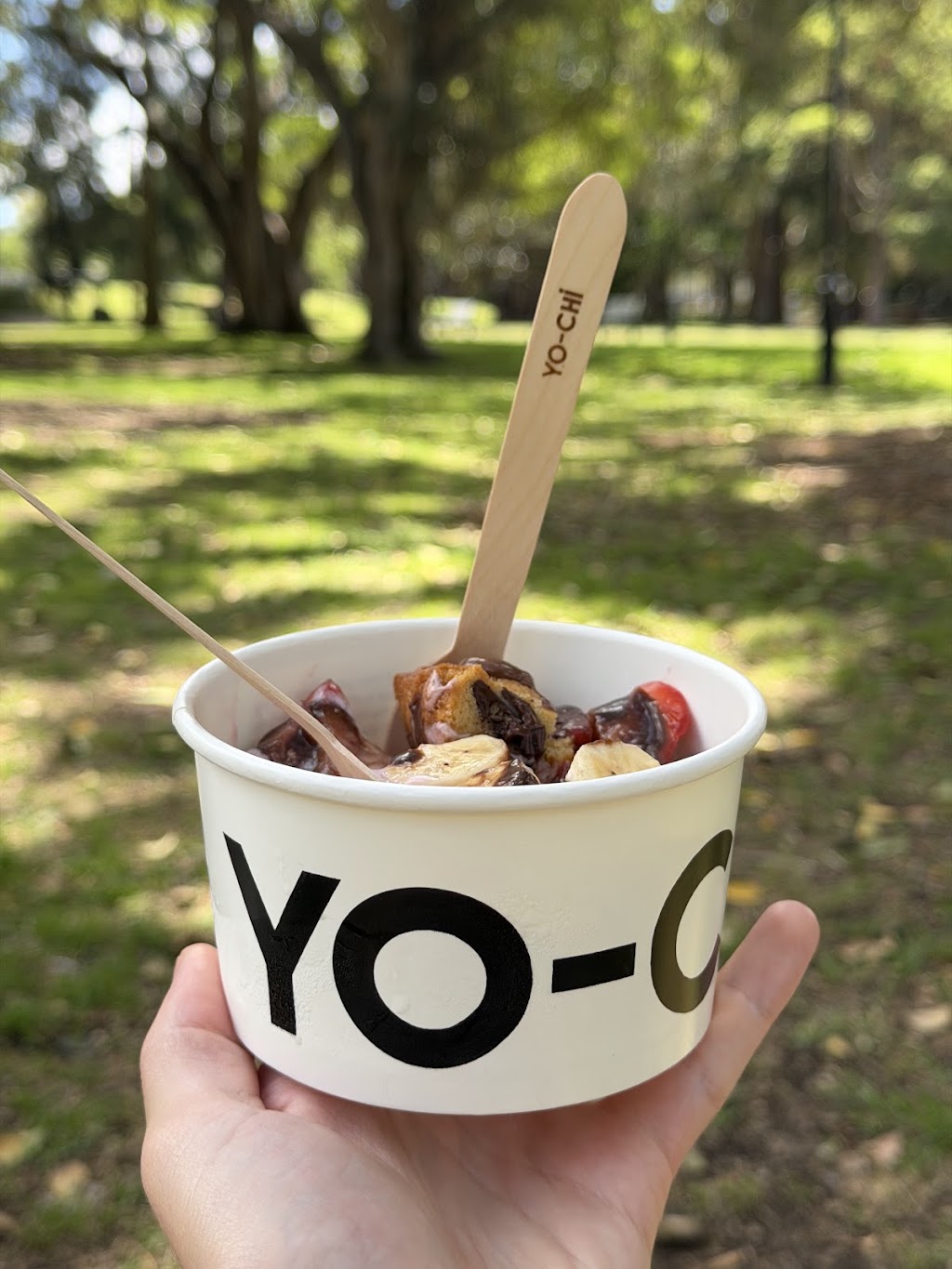 Yo-Chi | 100 Burwood Rd, Burwood NSW 2134, Australia | Phone: (02) 8089 0362