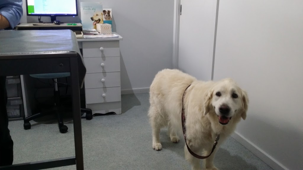 West Gosford Veterinary Clinic | 20 Jusfrute Dr, West Gosford NSW 2250, Australia | Phone: (02) 4323 6023