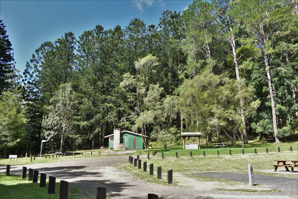 Rummery Park campground | campground | Peates Mountain Rd, Whian Whian NSW 2480, Australia | 1300072757 OR +61 1300 072 757