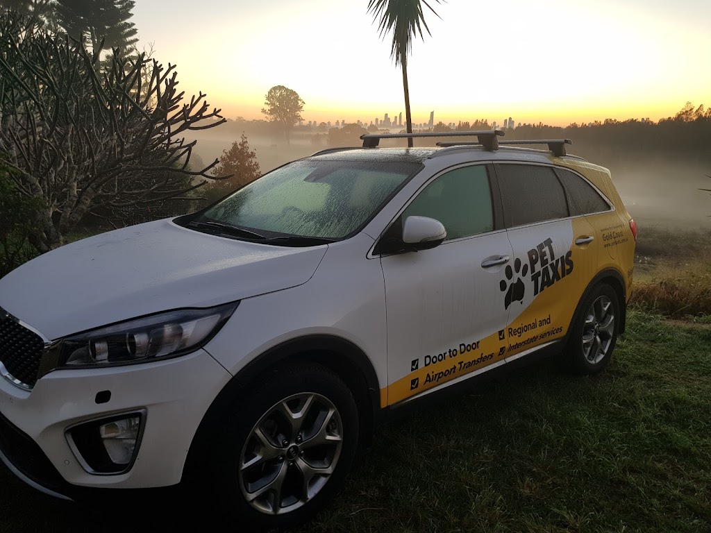 Pet Taxis, Newcastle, Sydney, Central Coast & Hunter Valley | 139C Moira Park Rd, Morisset NSW 2264, Australia | Phone: 0411 738 829