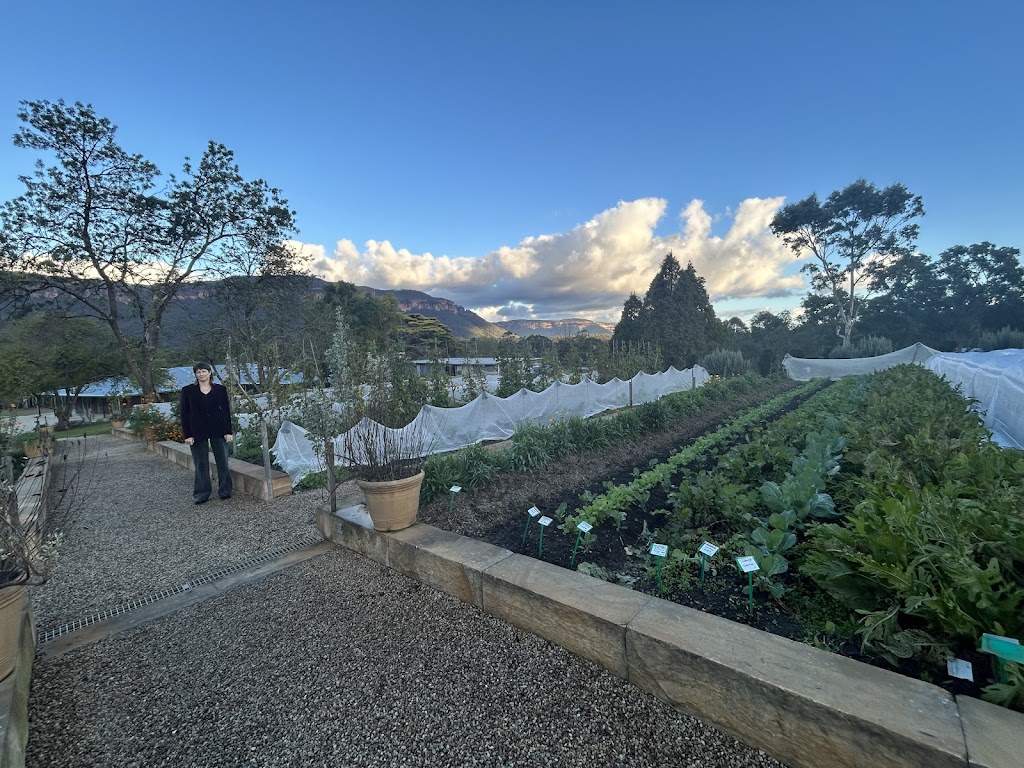 Megalong Restaurant - LOT 101 | 3/7 Peach Tree Rd, Megalong Valley NSW 2785, Australia | Phone: (02) 4787 3999