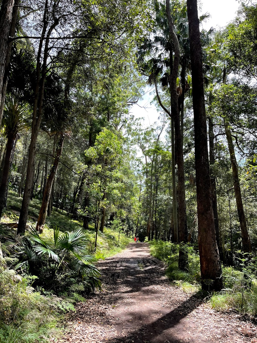 Forest path | tourist attraction | Sir Bertram Stevens Dr, Royal National Park NSW 2233, Australia | 0295420648 OR +61 2 9542 0648