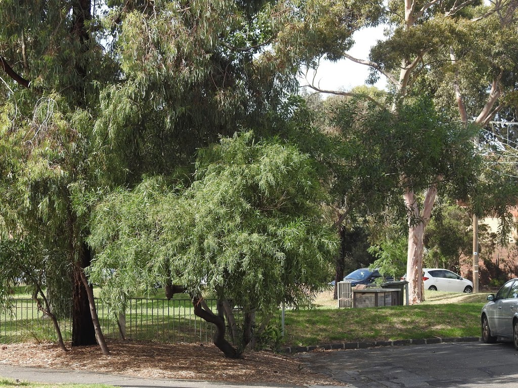 H.R. Johnson Reserve | park | St Kilda West VIC 3182, Australia | 0392096777 OR +61 3 9209 6777