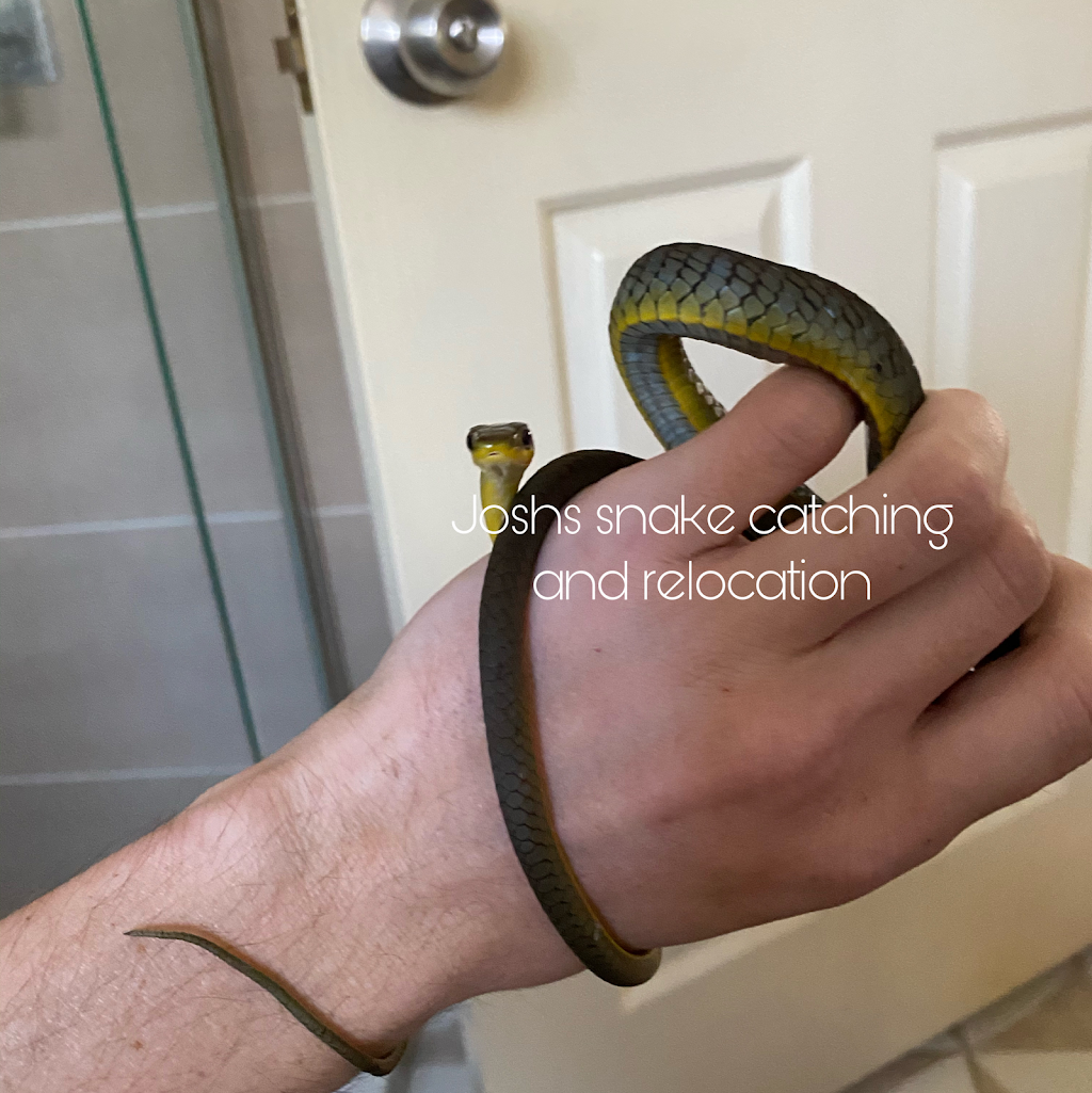 Joshs Snake Catching and Relocation - Brisbane |  | 1/23 Swallow St, Griffin QLD 4503, Australia | 0474826129 OR +61 474 826 129