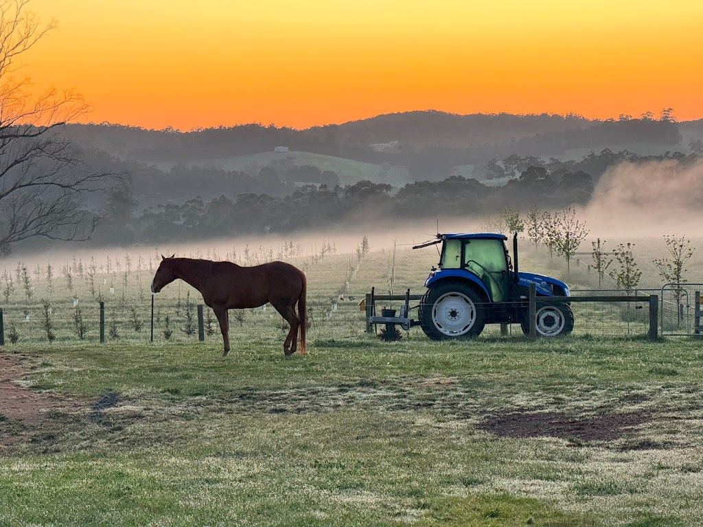 Scotch Hill Luxury Accommodation @ Scotch Hill Truffle Farm | 48 MacKintosh Rd, Neerim South VIC 3831, Australia | Phone: 0438 535 947