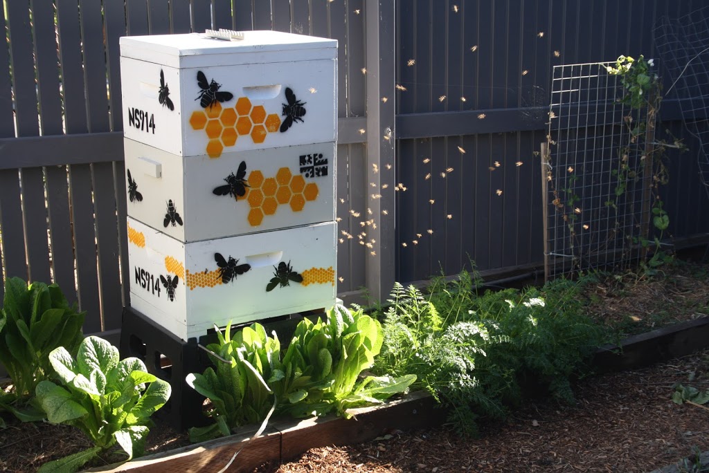 Lakewood Hives |  | 33 Lakewood Blvd, Flinders NSW 2529, Australia | 0448811404 OR +61 448 811 404