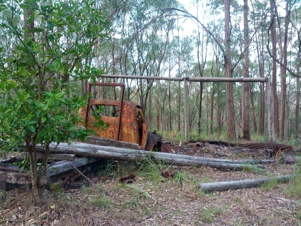 Cornubia Forest | park | Cornubia QLD 4130, Australia | 0734123412 OR +61 7 3412 3412