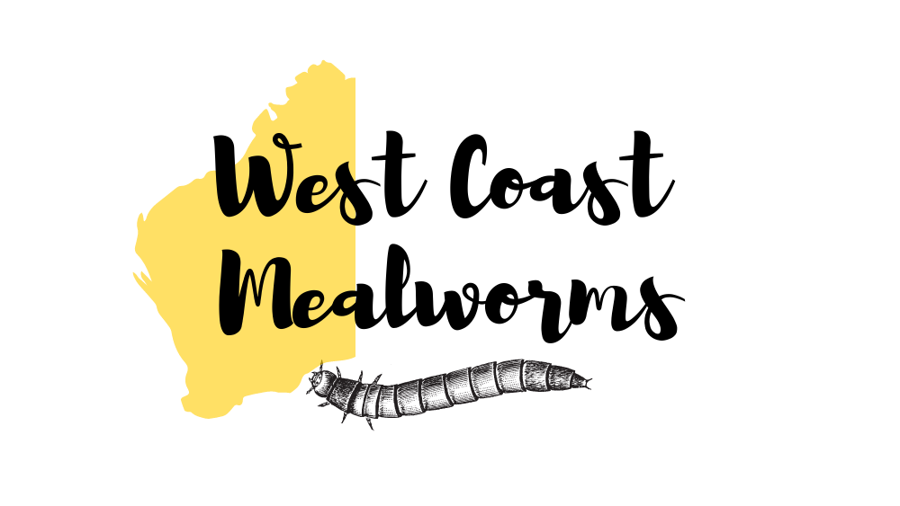 West Coast Mealworms | 4 Cockatiel Way, Beeliar WA 6164, Australia | Phone: 0407 422 420