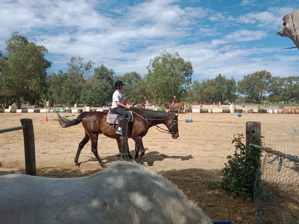 Foxdale Riding School | 100 Doghill Rd, Baldivis WA 6171, Australia | Phone: 0408 918 048