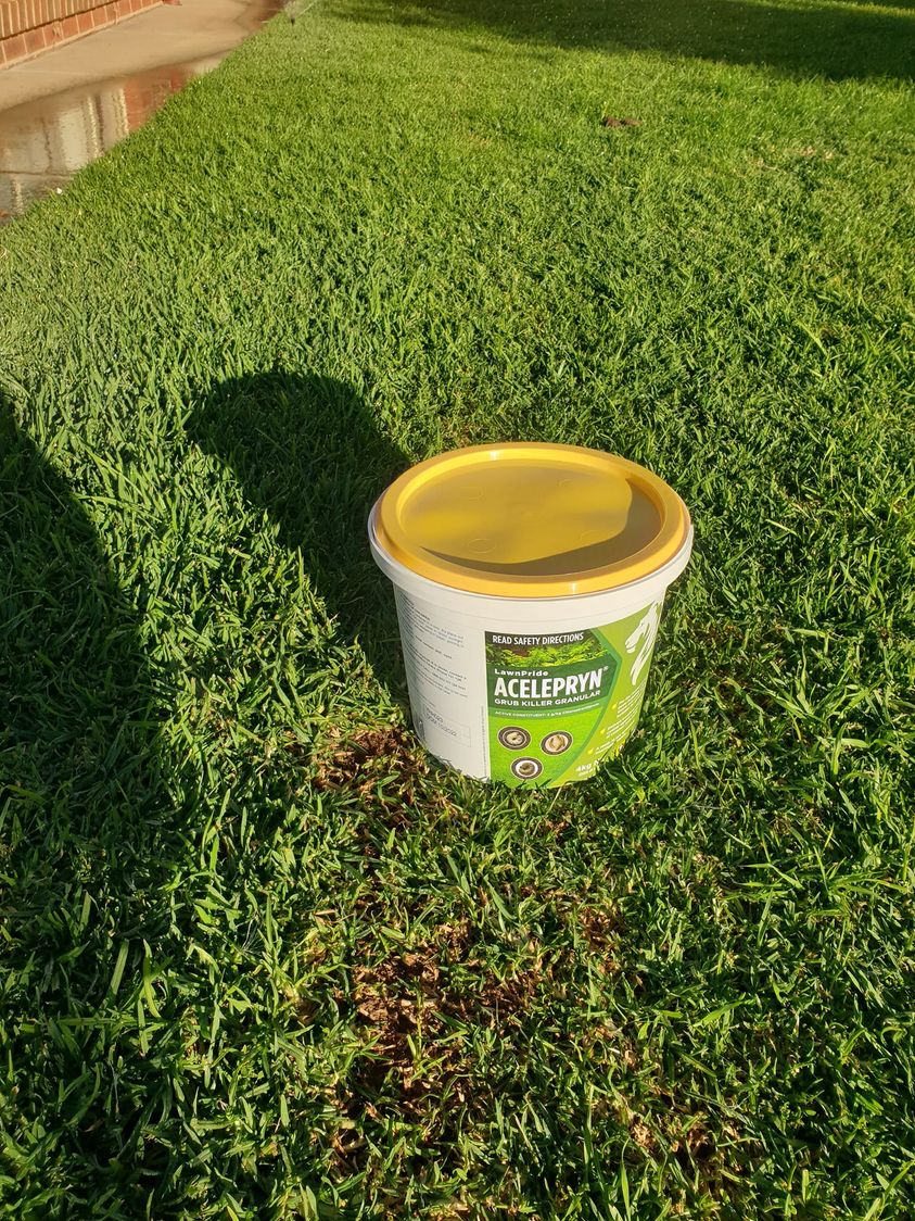 Steven Trevaskis Gardening Service | 31 Wendouree Dr, Kialla VIC 3631, Australia | Phone: 0417 508 145
