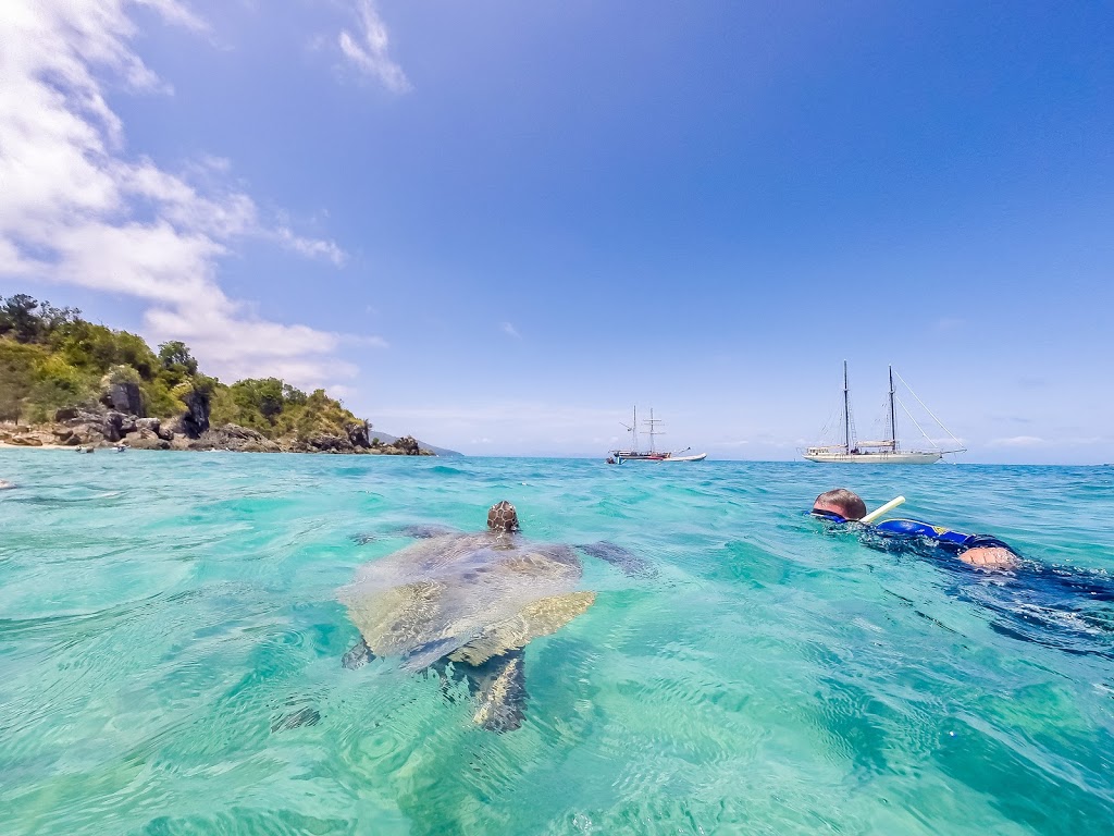 Tall Ship Adventures | Coral Sea Marina, Shingley Dr, Airlie Beach QLD 4802, Australia | Phone: 1800 334 773