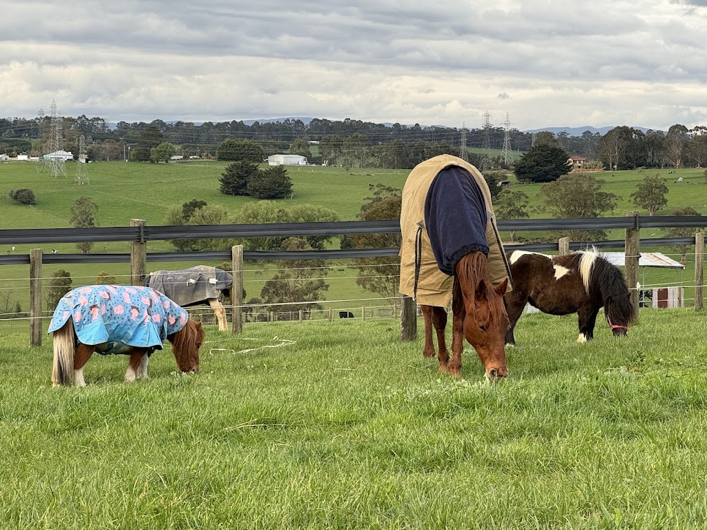 Lillico Nurture | 500 Copelands Rd, Lillico VIC 3820, Australia | Phone: 0418 372 880