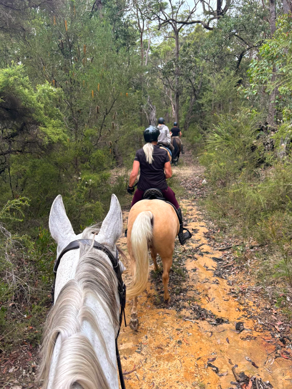 Sandusky Lodge | 13 Barakee Rd, Peats Ridge NSW 2250, Australia | Phone: 0408 397 933