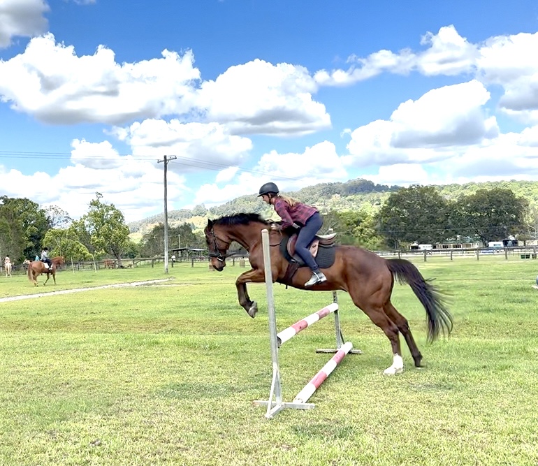 Mullumbimby Equestrian Centre | 310 Left Bank Rd, Mullumbimby Creek NSW 2482, Australia | Phone: 0413 959 708