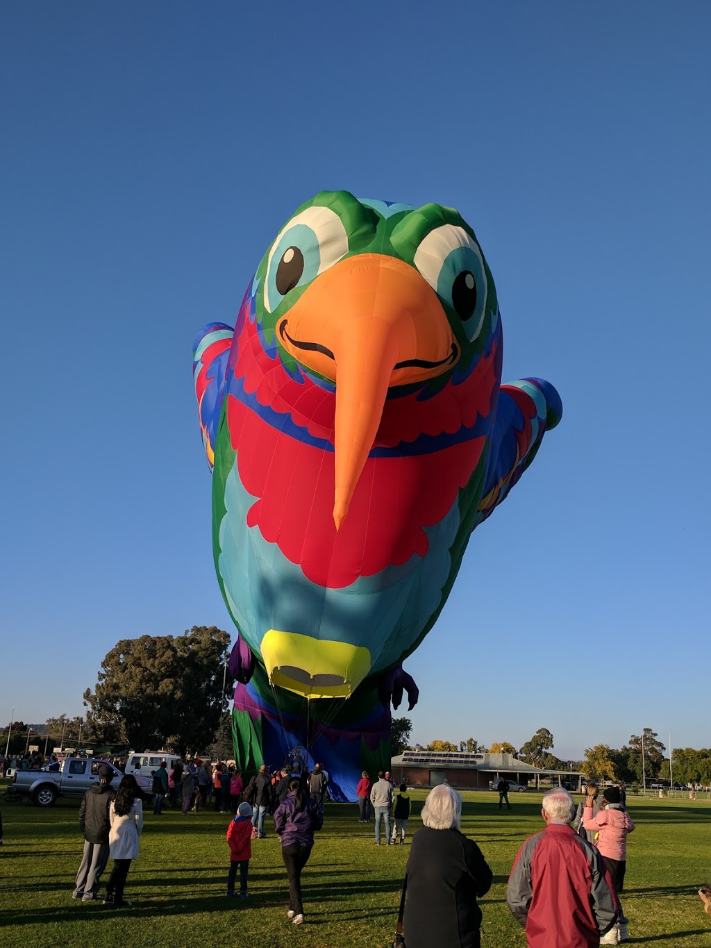 Canowindra Sports Ovals | gym | 77 Rodd St, Canowindra NSW 2804, Australia