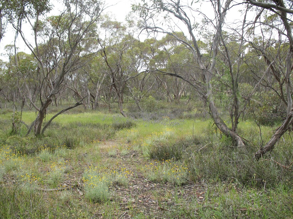 Wirraworra sanctuary | park | Sandpit Rd, Reeves Plains SA 5502, Australia | 0885222169 OR +61 8 8522 2169