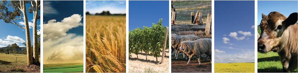 Rural Financial Counselling Service NSW Central Region | 27 Mitchell St, Bourke NSW 2840, Australia | Phone: 1800 940 404