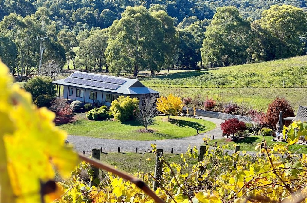 The Vineyard House - Luxury Accommodation | 182 Shannons Rd Murrindindi, Yea VIC 3717, Australia | Phone: 0432 435 180