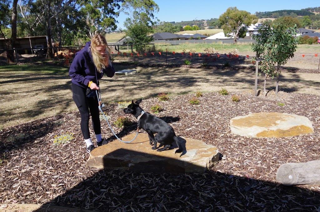 Barker Behaviour and Training | 204 Flaxley Rd, Mount Barker SA 5251, Australia | Phone: 0479 111 404