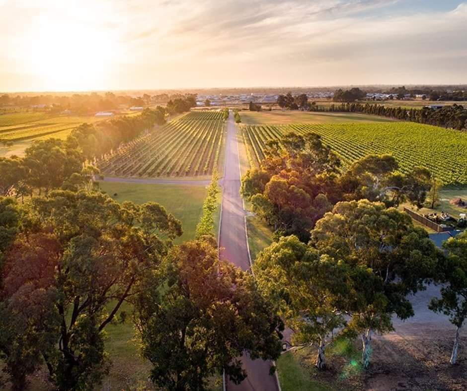 Sandalford Restaurant | restaurant | Sandalford Wines Building, 3210 W Swan Rd, Caversham WA 6055, Australia | 0893749301 OR +61 8 9374 9301