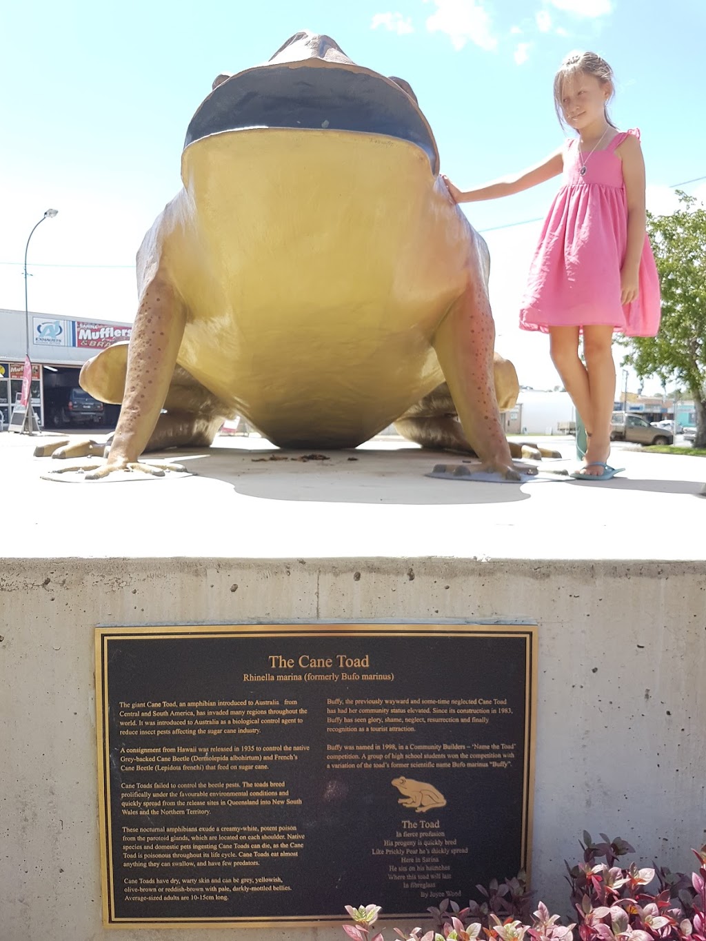 Sarina Big Cane Toad | museum | 48/46 Bruce Hwy, Sarina QLD 4737, Australia