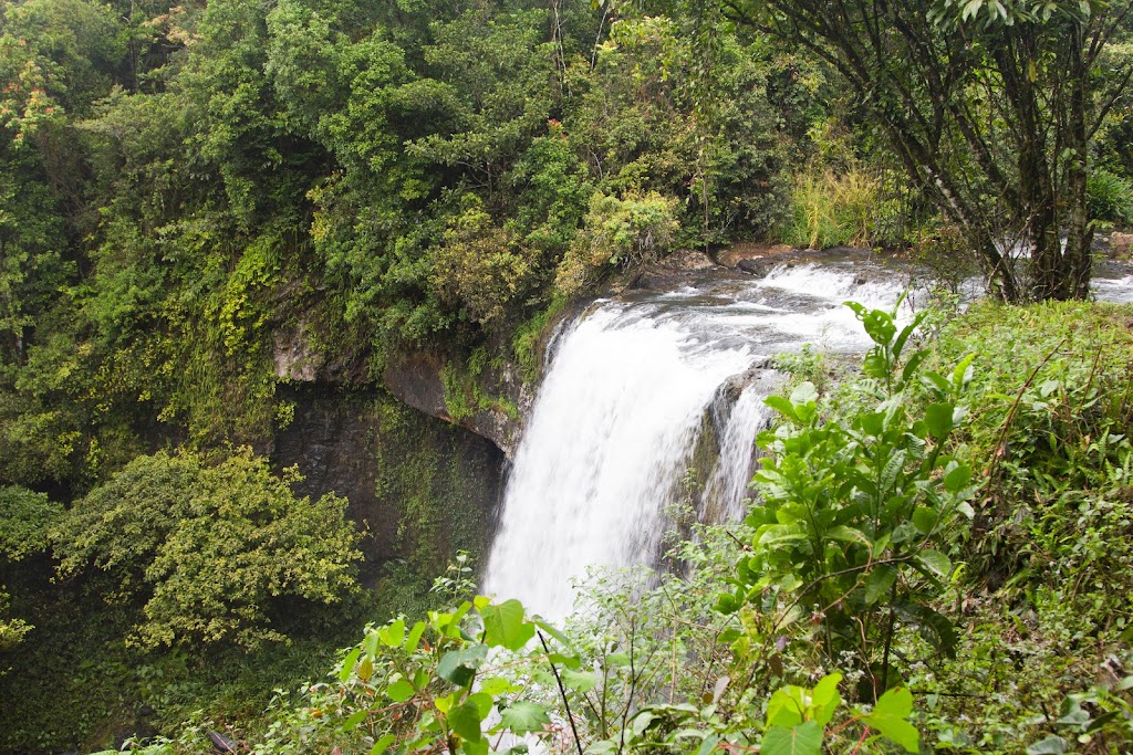 Mount Alexandra Lookout | Cape Tribulation Rd, Kimberley QLD 4873, Australia | Phone: 13 74 68