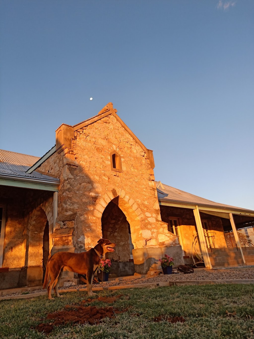 Melangata Station Stay | Melangata Rd, Yalgoo WA 6635, Australia | Phone: (08) 9963 7777