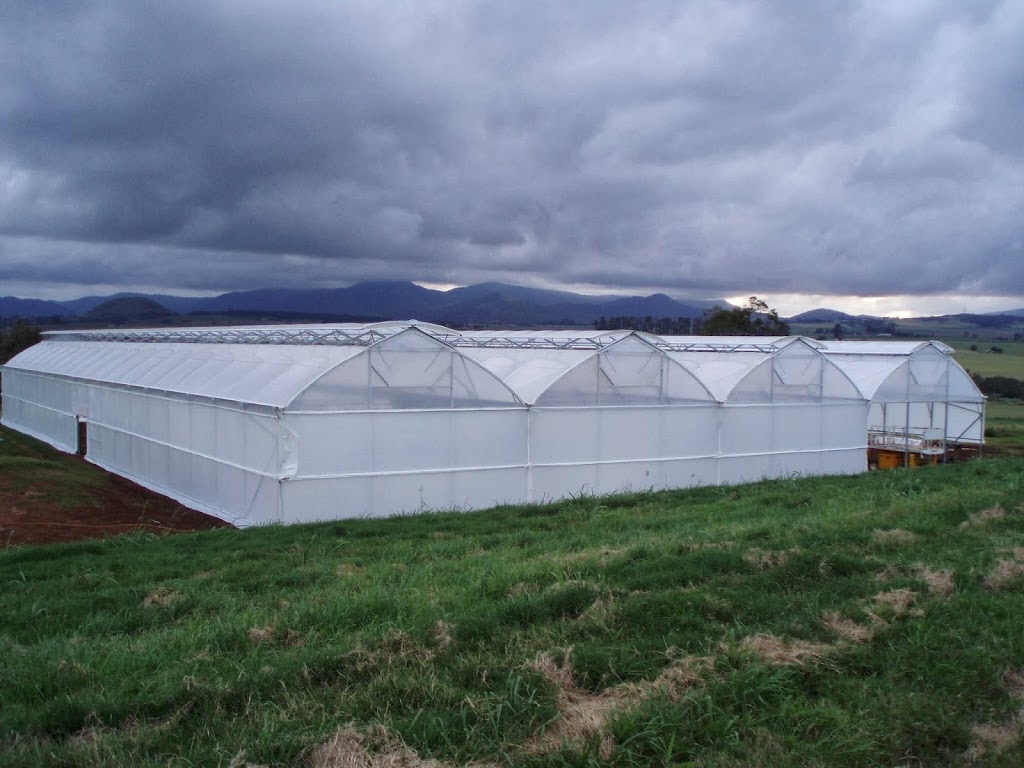 Greg Porter Greenhouses | food | 2 William Mac Ct, Narangba QLD 4500, Australia | 0411653417 OR +61 411 653 417