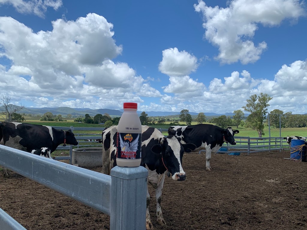 Scenic Rim Robotic Dairy | 9023 Mount Lindesay Hwy, Tamrookum QLD 4285, Australia | Phone: 0438 414 206