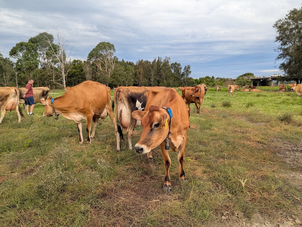 Camden Valley Farm | 8 Burragorang Rd, Cawdor NSW 2570, Australia | Phone: 0430 481 260