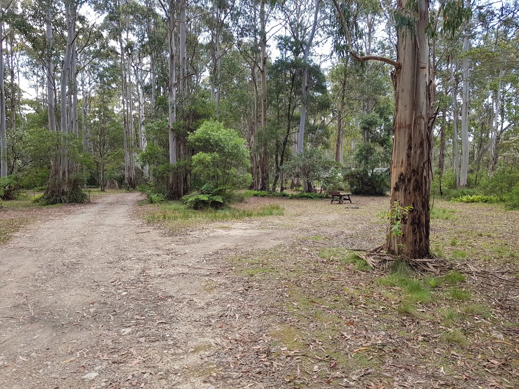 Brushy Mountain campground | campground | Loop Walk, Forbes River NSW 2446, Australia | 0265823355 OR +61 2 6582 3355